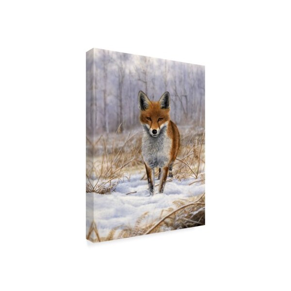 Nigel Artingstall 'Red Fox Center' Canvas Art,14x19